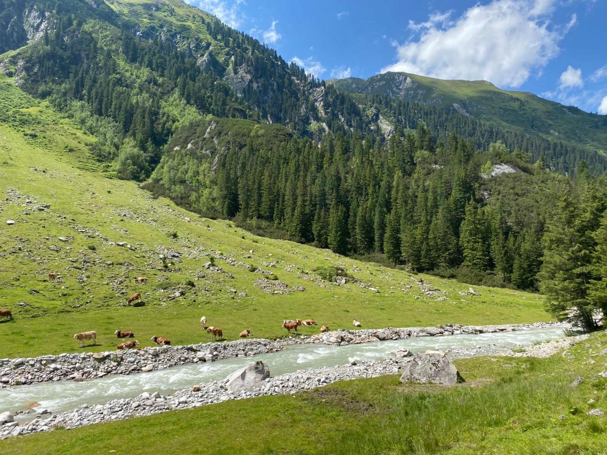 Penthaus Kitzebueheler Alpen Appartement Neukirchen am Großvenediger Buitenkant foto